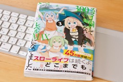 [画像] スライム倒して300年、知らないうちにレベルMAXになってました (3)