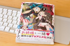 [画像] スライム倒して300年、知らないうちにレベルMAXになってました (7)