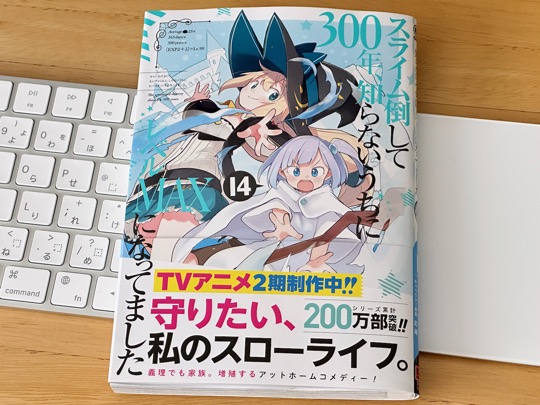 [画像] スライム倒して300年、知らないうちにレベルMAXになってました (14)