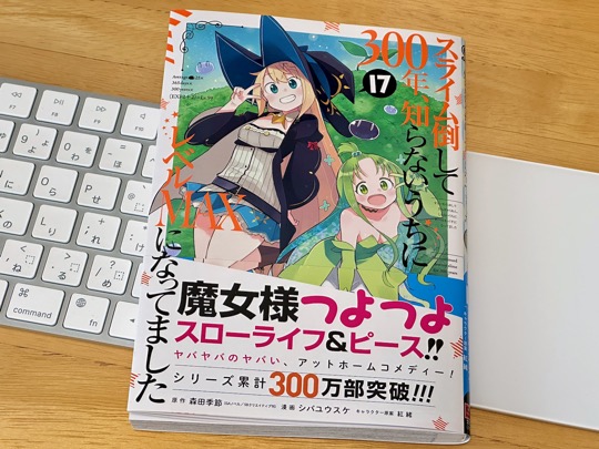 スライム倒して300年、知らないうちにレベルMAXになってました (17)
