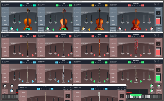 SWAM Double Reeds / Clarinets / Solo Strings Bundle / Flutes