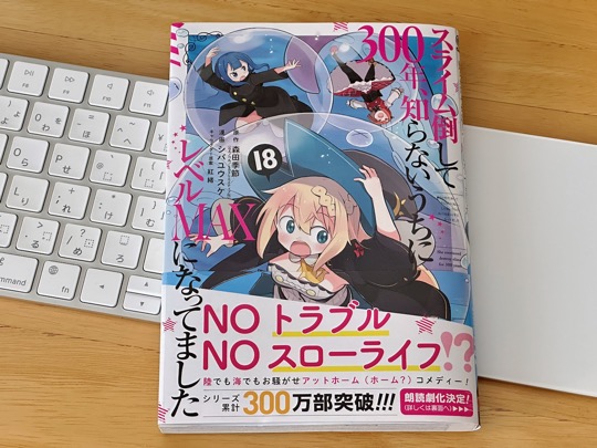スライム倒して300年、知らないうちにレベルMAXになってました (18)