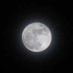 [挿絵] 天体撮影 - 満月