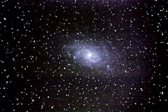 M33-2010