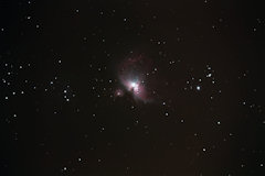 M42-2010