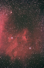 [挿絵] 天体撮影 - ペリカン星雲